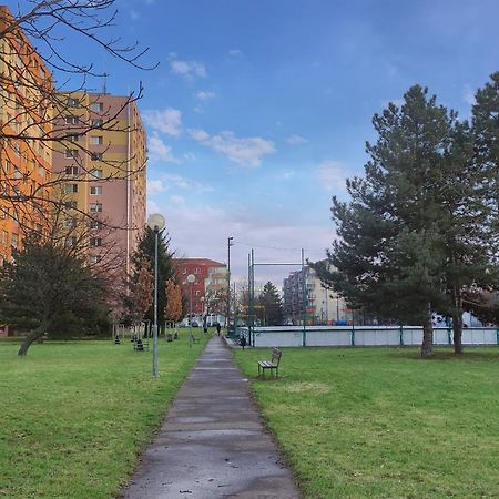 Elegant Escape Apartment III - Free Parking, Easy Access To City Center Pozsony Kültér fotó