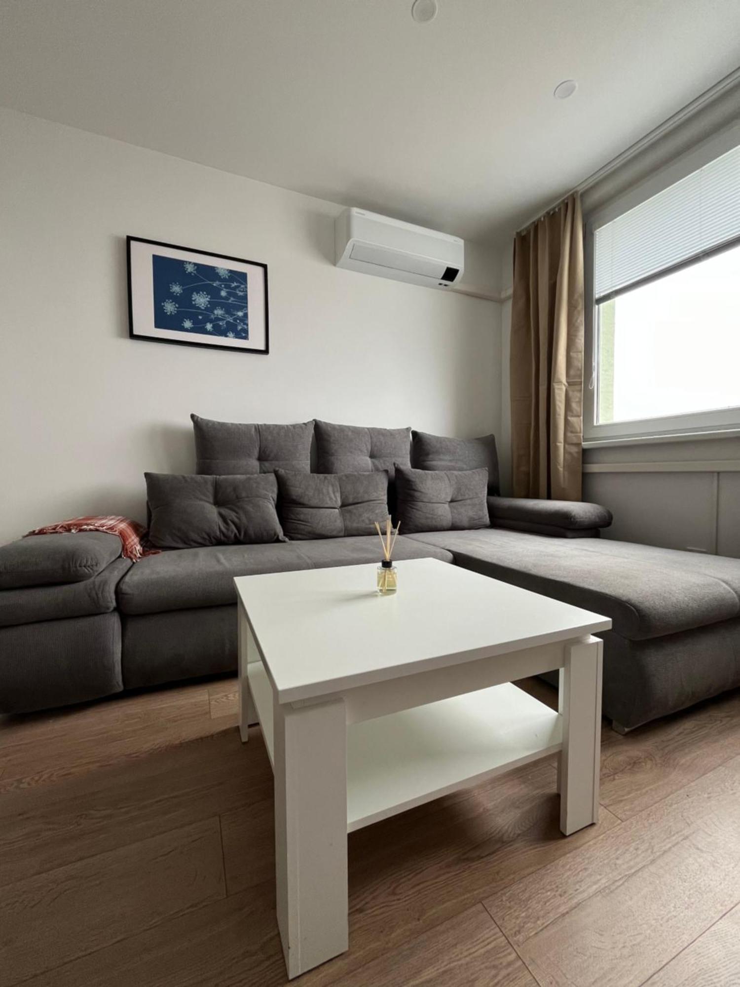 Elegant Escape Apartment III - Free Parking, Easy Access To City Center Pozsony Kültér fotó
